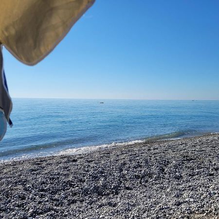 Sole E Mare Apartment Guardavalle Екстериор снимка